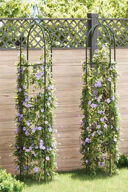 vidaXL 40779 - Arche de jardin en forme de tour 2 pcs