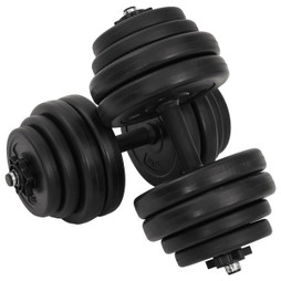 vidaXL 90267 - Haltères 2 x 15 kg