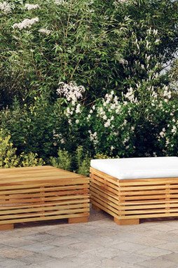 vidaXL 319169 - Salon de jardin 2 pcs Bois de teck massif