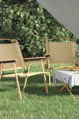 vidaXL 319484 - Camping Chairs 2 pcs 54x55x78 cm Oxford Fabric