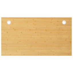 vidaXL 352759 - Desk Top 100x60x2.5 cm Bamboo