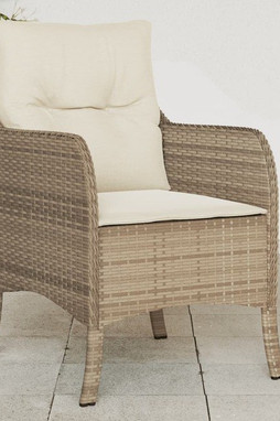 vidaXL 365148 - Chaises de jardin avec coussins lot de 2 beige résine tressée