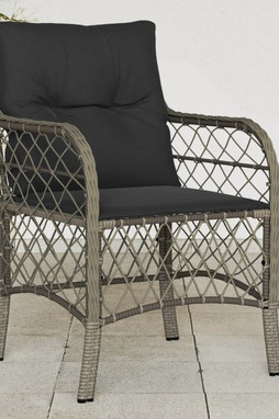 vidaXL 365155 - Chaises de jardin avec coussins lot de 2 gris résine tressée