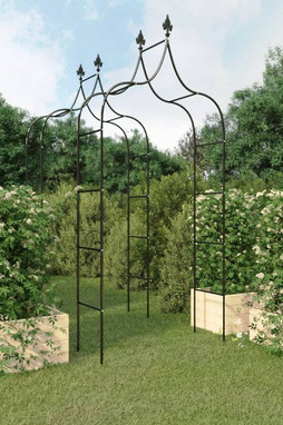 vidaXL 319349 - Garden Arches 2 pcs 120x38x260 cm Steel
