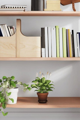 vidaXL 363668 - Wall Shelf Light 80x50x2 cm Treated Solid Wood Oak