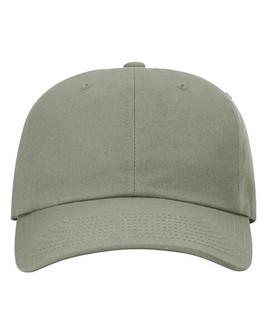 Richardson 254RE - Sustainable Ashland Dad Hat