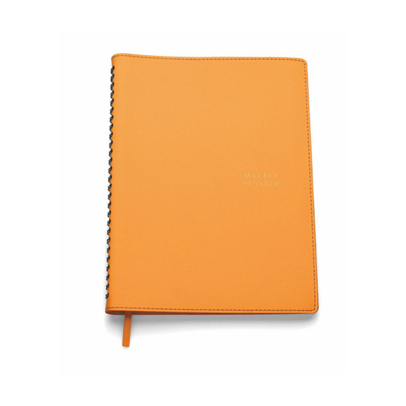 Gairo Perpetual Weekly Diary - Silan 2107
