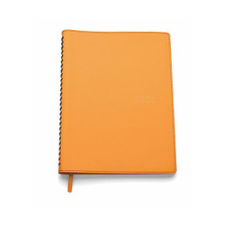 Silan 2107 - 2107 Gairo Perpetual Weekly Diary