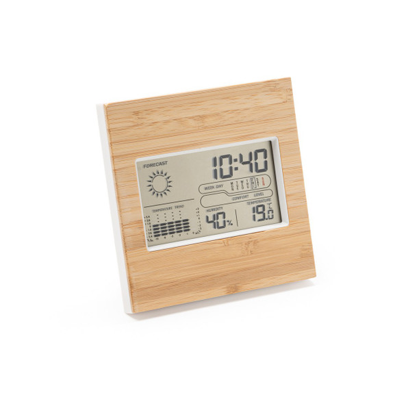 Wake Weather Station - Silan 9166staz