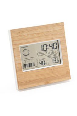 Silan 9166staz - Wake Station Météorologique