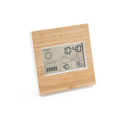 Wake Weather Station - Silan 9166staz