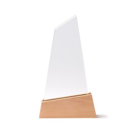 Ulpi Trophy - Silan 9301