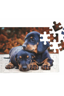 Silan 9810puzzle - 9810 Sublimation Puzzle A3