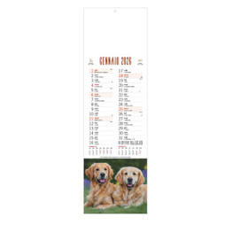 Dogs And Cats Calendar - Silan B071