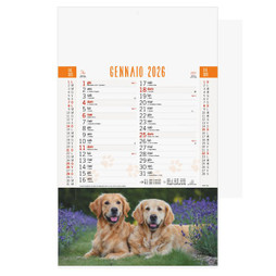 Dogs And Cats Calendar - Silan B077