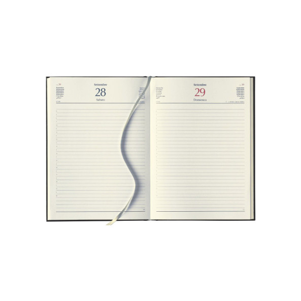 Gl Interior Daily Cm X21 - Silan GL15INTERNO