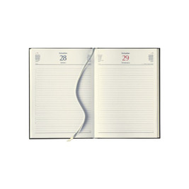 Gl Interior Daily Cm X21 - Silan GL15INTERNO