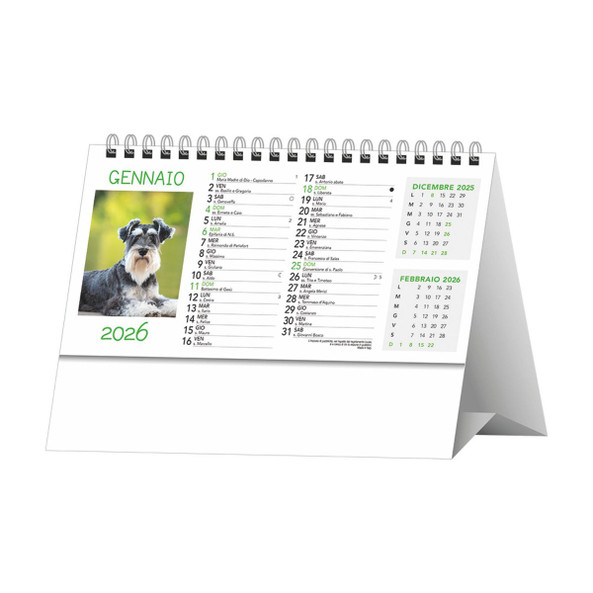 Desk Calendar Dogs And Cats - Silan H012