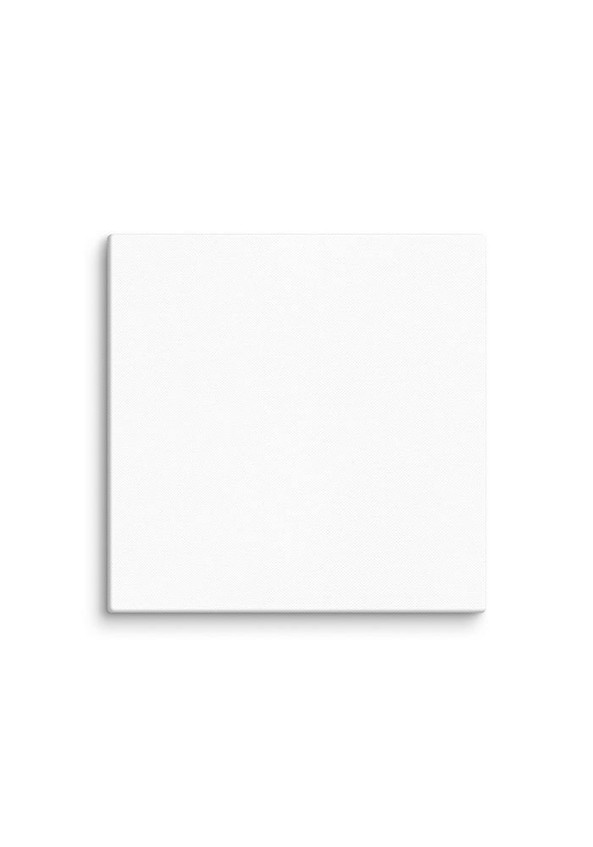 Canvas (in) - Egotier 3