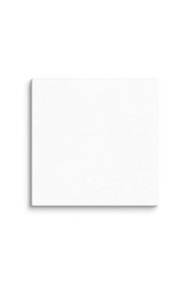 Canvas (in) - Egotier 3