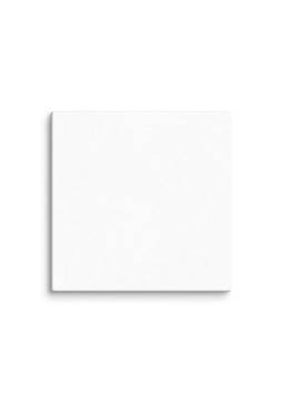 Canvas (in) - Egotier 3