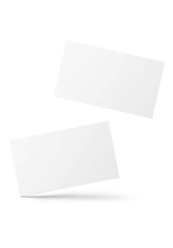 Set of Business Cards - Egotier 724
