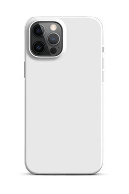 Snap Case for iPhone 12 Pro Max - Egotier 683-16901