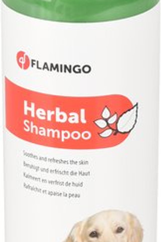 Flamingo f-1030837 - Shampoing avec herbes300 ml