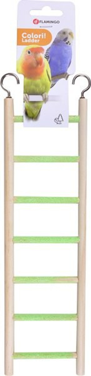 Flamingo f-1030897 - Colori ÉchelleBrun clair