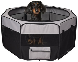 Flamingo f-1031295 - Enclos