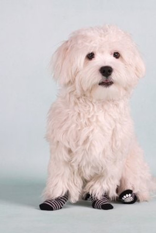 Flamingo f-15225 - Chausette