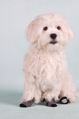 Flamingo f-15224 - Chausette