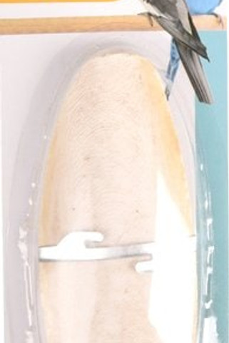 Flamingo f-2010026 - Os de seiche Os de seiche