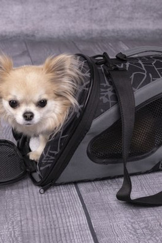 Flamingo f-31388 - Sac de transport Gris foncé