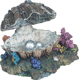 Flamingo f-400998 - Décoration Coquille