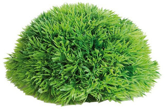 Flamingo f-406413 - Décoration Plante