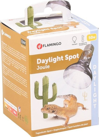 Flamingo f-405736 - Spot lumière du jour