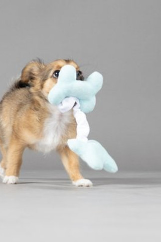 Flamingo f-47954 - Jouet Chiot Os