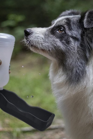 Flamingo f-504300 - Distributeur deau