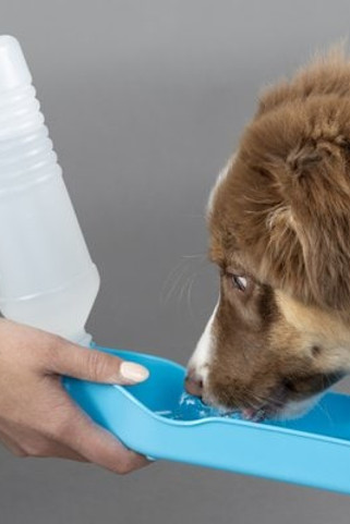 Flamingo f-512286 - Distributeur deau