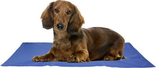 Flamingo f-513865 - Tapis rafraîchissant Rectangle