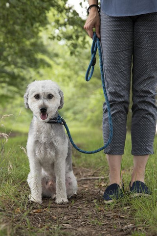 Flamingo f-515907 - Laisse anti-traction