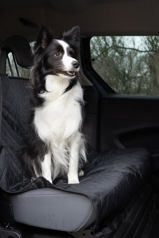 Flamingo f-516147 - Protège-siège de voiture Siège arrière