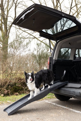 Flamingo f-516756 - Rampe pour chiens