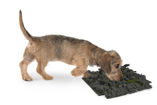 Flamingo f-518997 - Tapis à reniflerfoncé