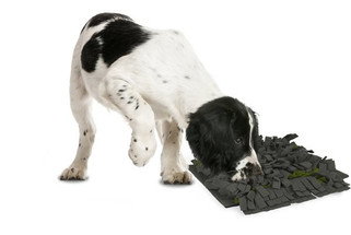 Flamingo f-518998 - Tapis à reniflerfoncé