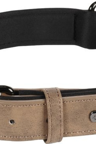 Flamingo f-519333 - Collier Avec neoprène