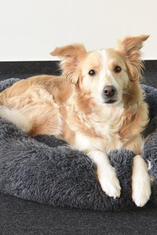 Flamingo f-519465 - Panier Rond