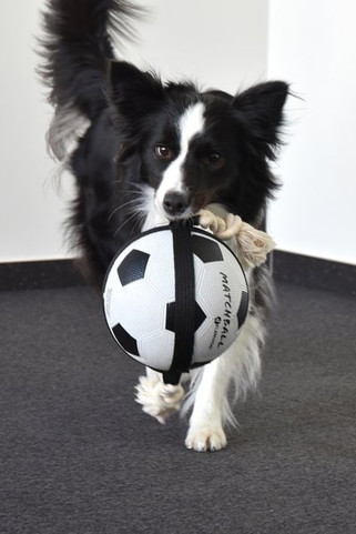 Flamingo f-5345415 - Jouet Ballon de football avec corde