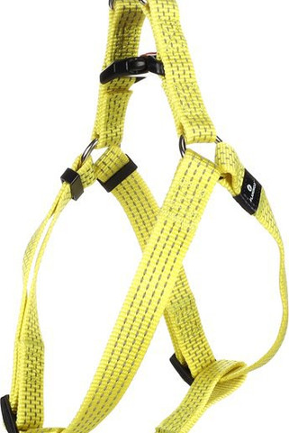 Flamingo f-5367856 - Harnais Step&Go fluo